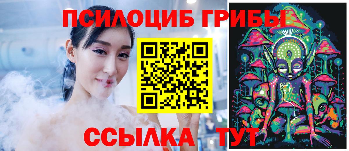 Карачаевск  Галлюциногенные грибы прущие грибы  Вход с VPN 