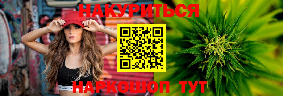 Марихуана сатива Карачаевск